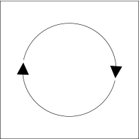 edrizzi® Effizienz Nachhaltigkeit